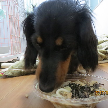 2歳の誕生日 冷やし中華