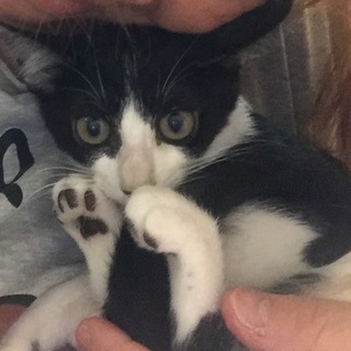 沢山のご応募ありがとうございました