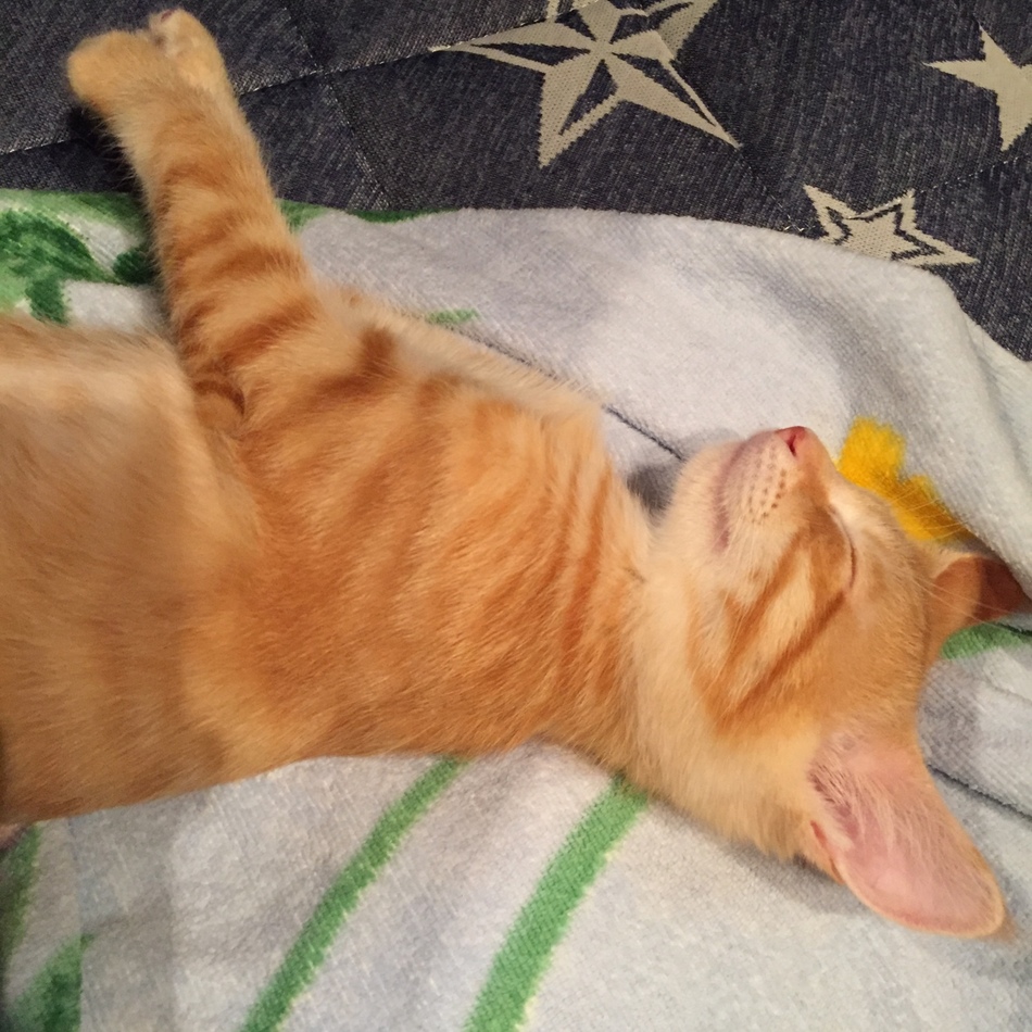 くるみのカバー写真