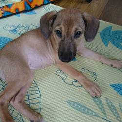 それぞれ家族ができました！！