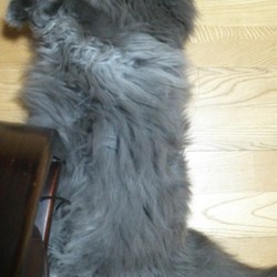 「夢見たっていいじゃない」サムネイル3