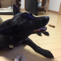 やっと終わった！