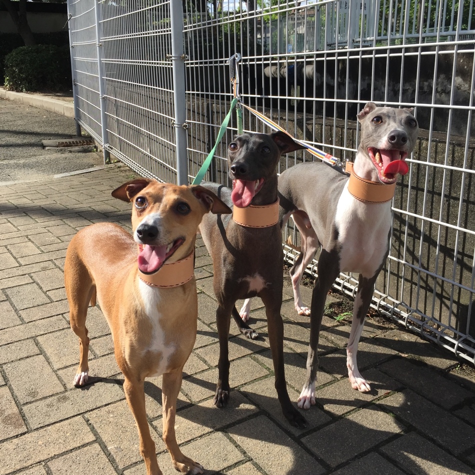 ボルトのカバー写真