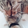 の写真