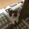 オスネ さん