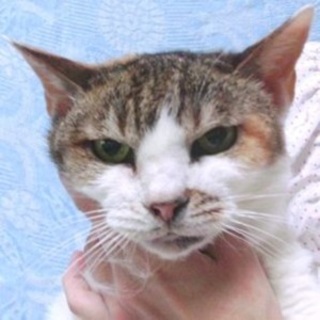 7/30池袋★薔薇ちゃん★大人の魅力たっぷり！