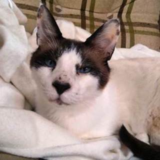 くり　　穏やかな男の子です