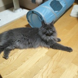 「バレバレですよ連行」サムネイル1