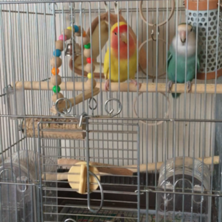 たくさんのご応募ありがとうございました