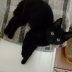 ボンちゃんお届けしました