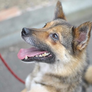 人が大好き！真っ直ぐ伝えてくれる可愛い子です！