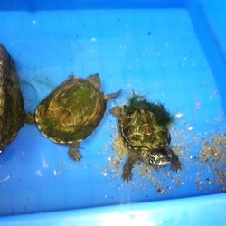 「いつの間にかまた一緒」サムネイル2