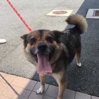 小さめで可愛い、健気な女の子です！