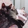 まったりうとうと…優しい子です✿✿ サムネイル2