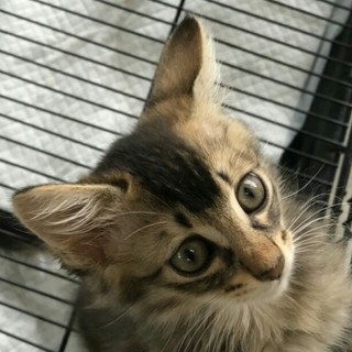 ありがとうございました！！