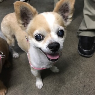 最後まで幸せに暮らしたい