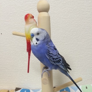 多数のご応募ありがとうございました。