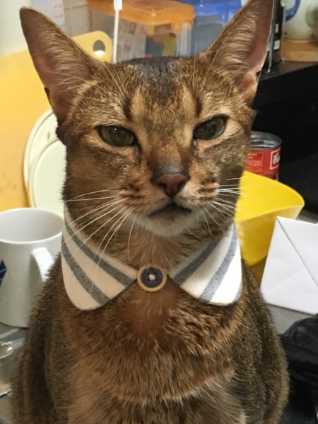 レオン（つぶ太）