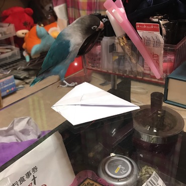 すぐにヘアゴム！