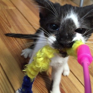 個性的で優しい男の子＊ライトくん