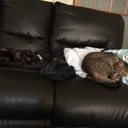 「ご無沙汰」サムネイル2