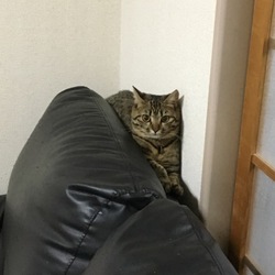 「ご無沙汰」サムネイル3