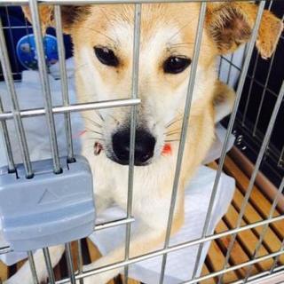 かわい～い女の子☆