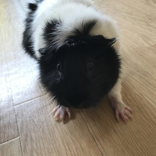 ありがとうございました☆彡