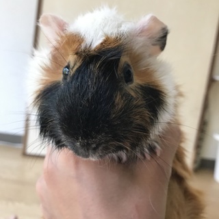 ちょっと甘えた男の子☆