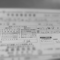 三種混合やってきた