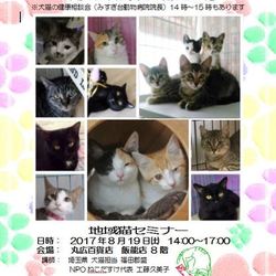 いぬ&ねこ譲渡会@丸広デパート飯能店8階