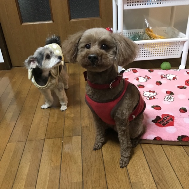 ざゎなおのカバー写真