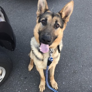 お願いします。