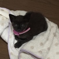 ありがとうございました！