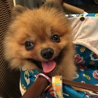 タカノニコル