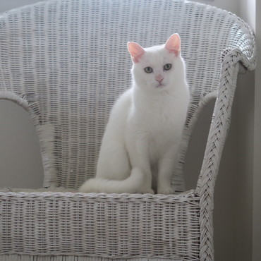 僕の居場所を死守