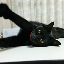 「クーちゃんの「おててとあんよ」」サムネイル3