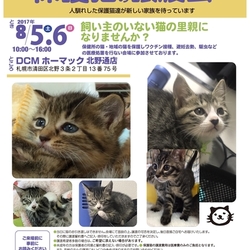 保護猫の譲渡会