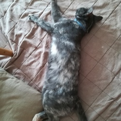 「もはや完全に大人です」サムネイル2