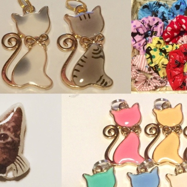 ねこりんのカバー写真