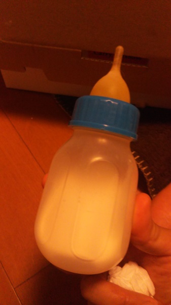 うさぎベビーちゃん♡哺乳瓶うさぎ うさぎベビーちゃん♡哺乳瓶うさぎ うさぎベビーちゃん♡哺乳瓶うさぎ