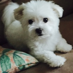 ショックでした