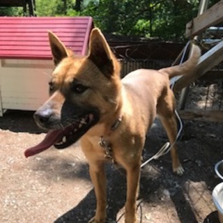 秘境天空の里で捨てられた子の家族になってください。