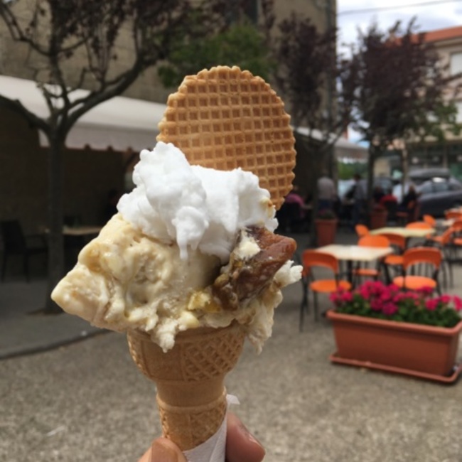 Gelsomina7のカバー写真