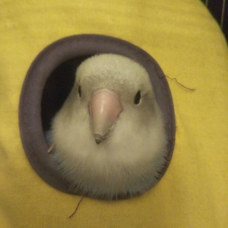 たくさんのご応募ありがとうございました