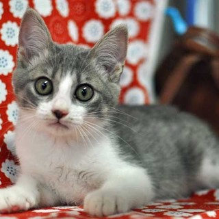 おめめ丸すぎ～★まるお君