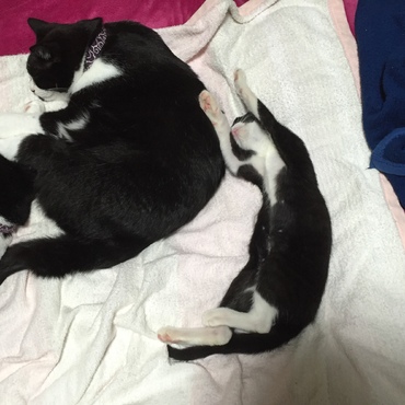 霞（かすみ）も負けずに？女子力高め？