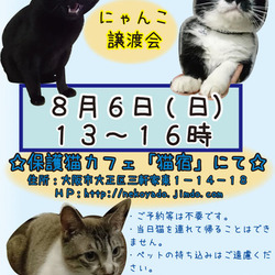 にゃんこ譲渡会