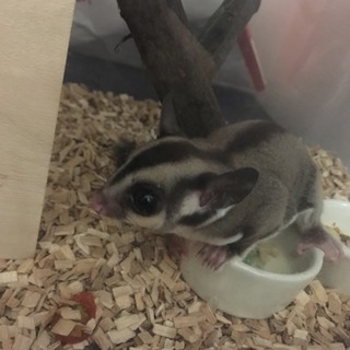 ※複数の応募ありがとうございました。