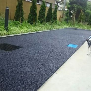 ドックランで走るとすごい早さです。右に居ます